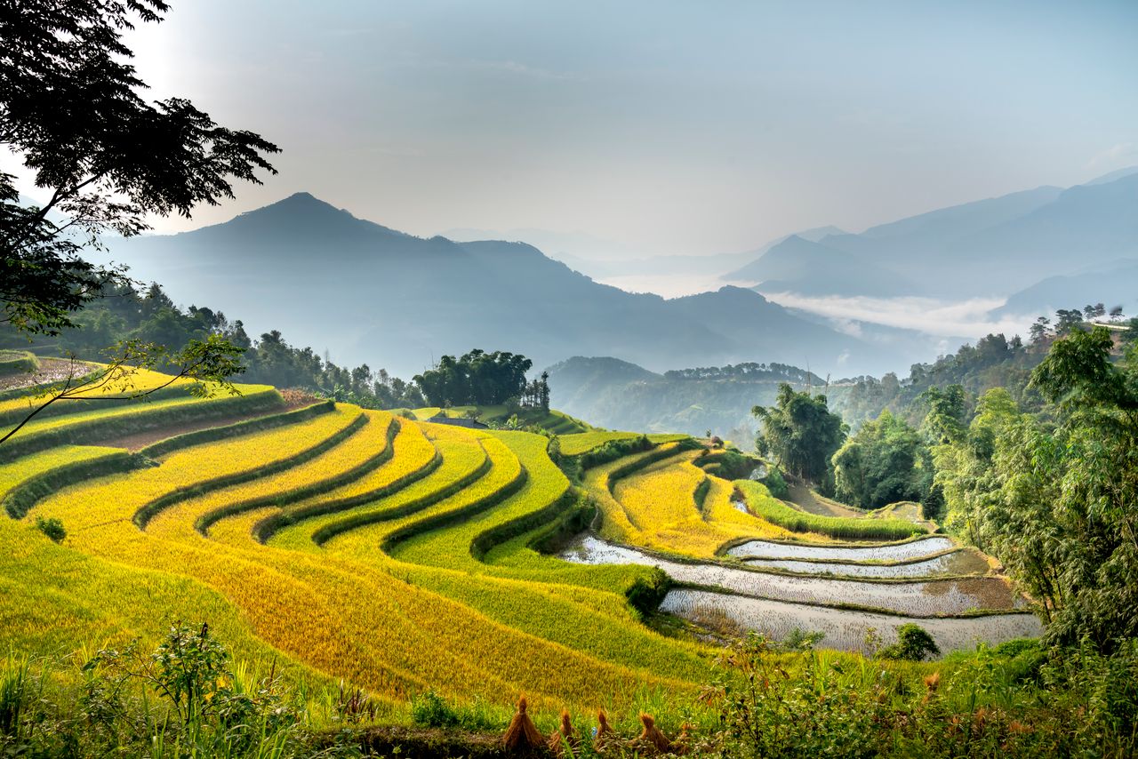 Quick guide for importing goods into the UK from Vietnam